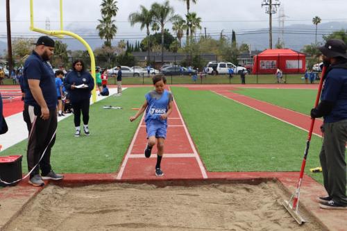 IMG 0265 (1)