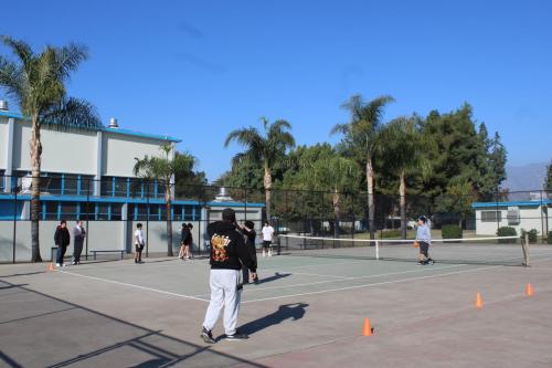 IMG 7695