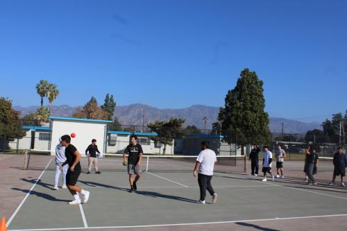 IMG 7696