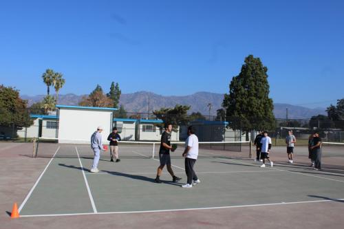 IMG 7697