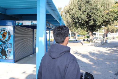 IMG 7698