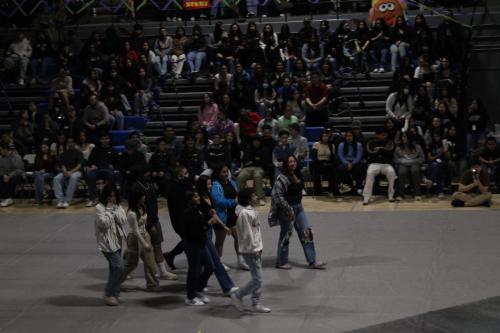 IMG 9739 (1) (1)