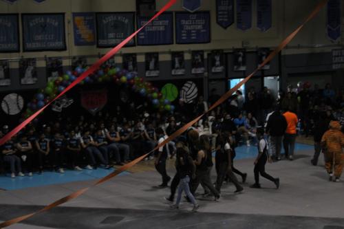 IMG 9742 (1)
