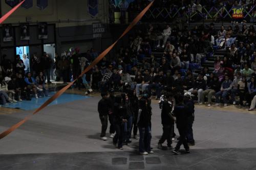 IMG 9744 (1) (1)