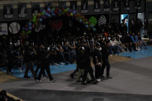 IMG 9745 (1)