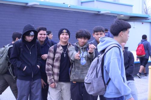 IMG 9787